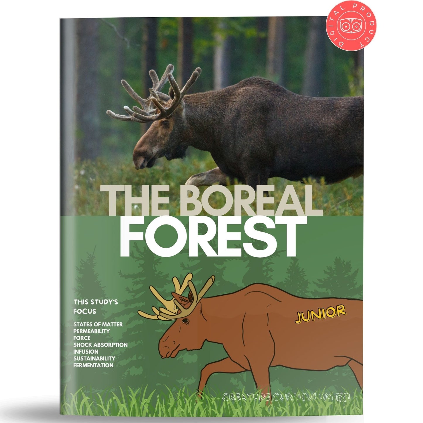 The Boreal Forest Study