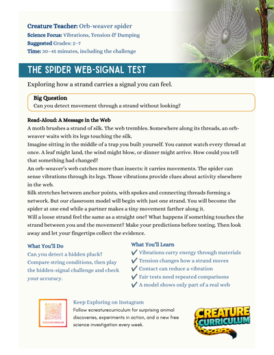 Vibrations, Tension and Damping – Orb-Weaver Spiders