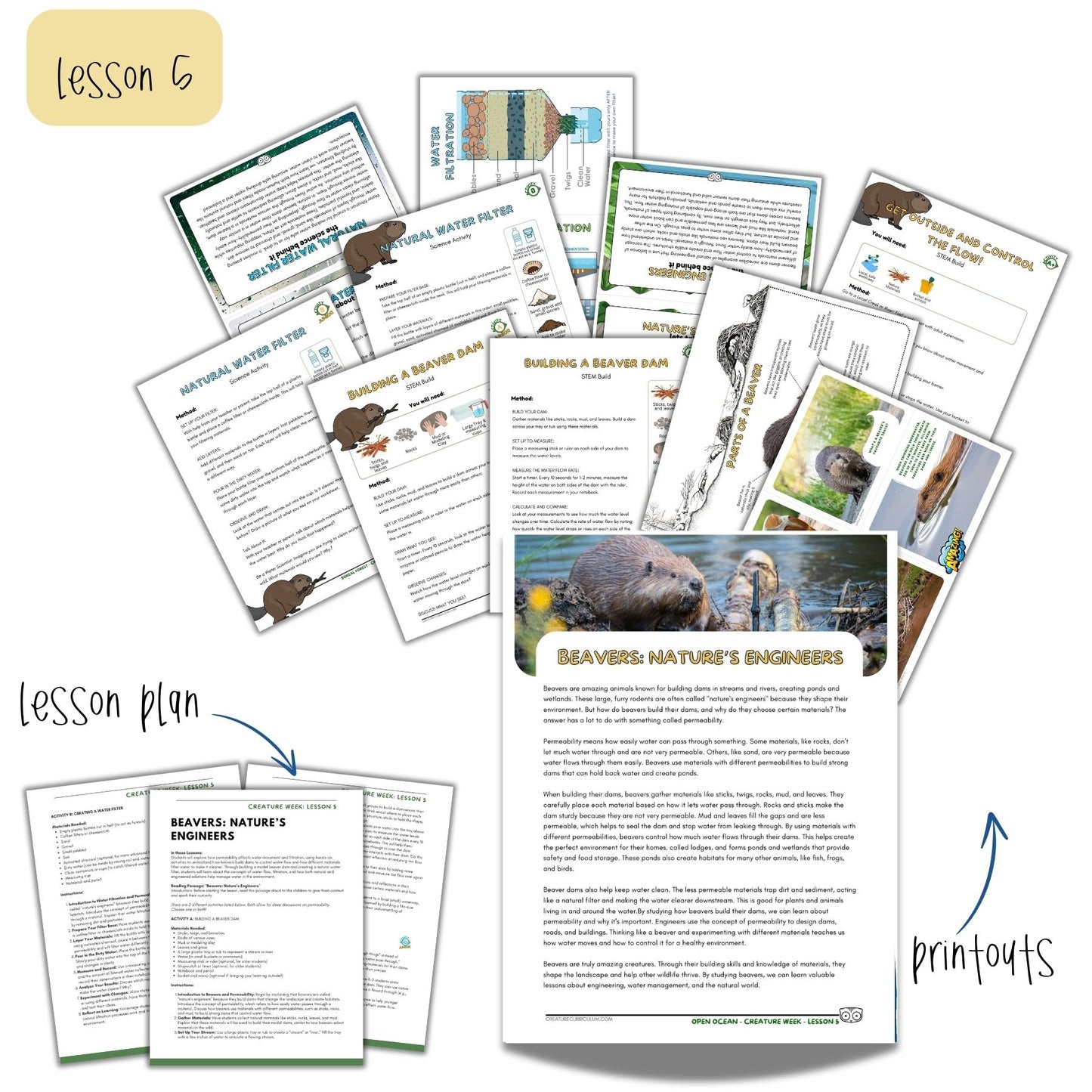 The Boreal Forest Study