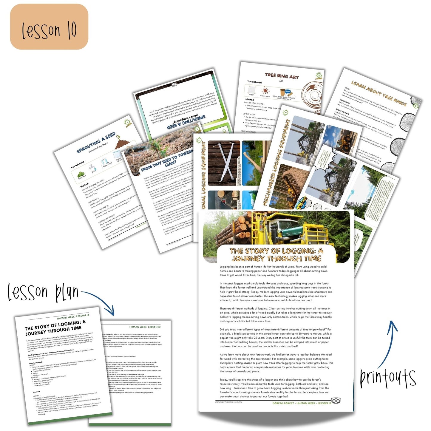 The Boreal Forest Study