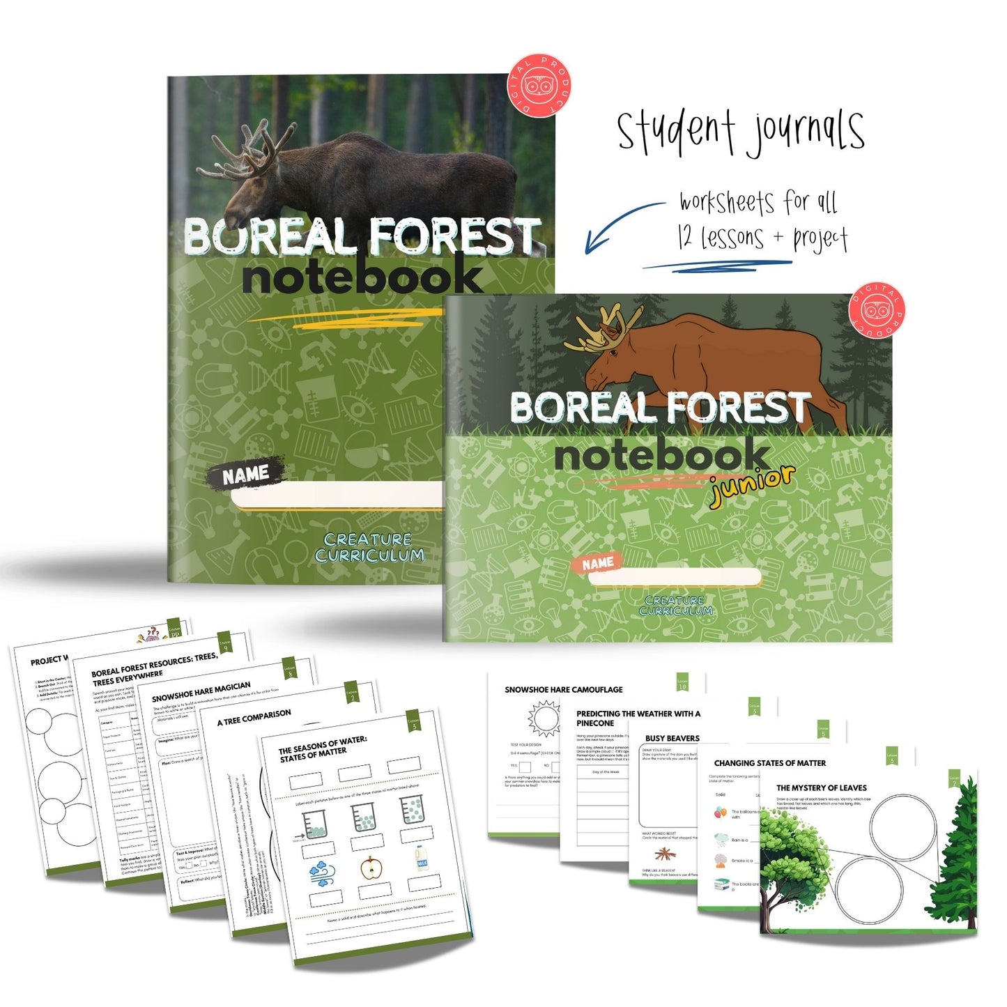 The Boreal Forest Study