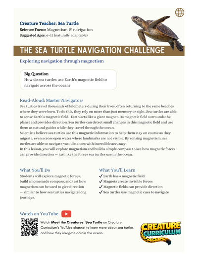 Magnetism & Navigation - Sea Turtles