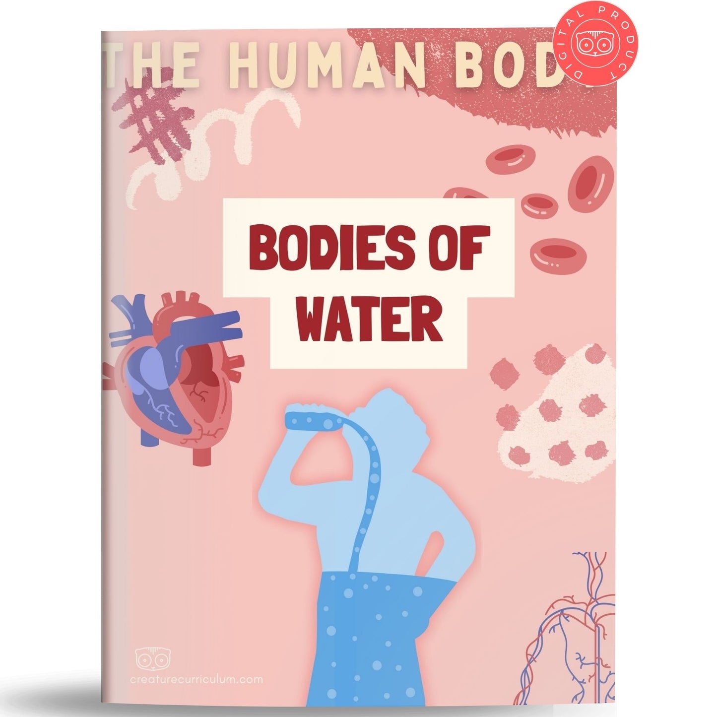 Human Body: Bodies of Water