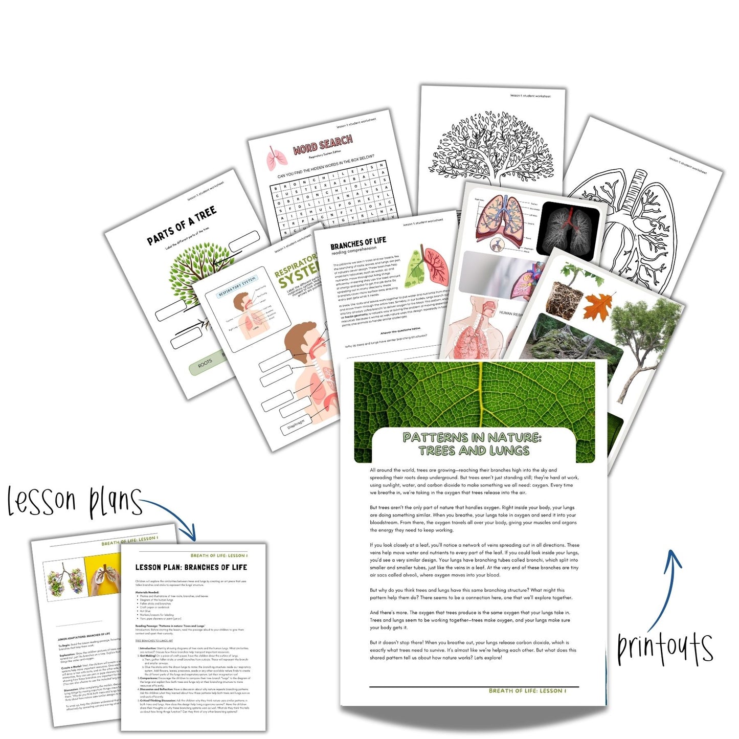 Human Body: Breath of Life