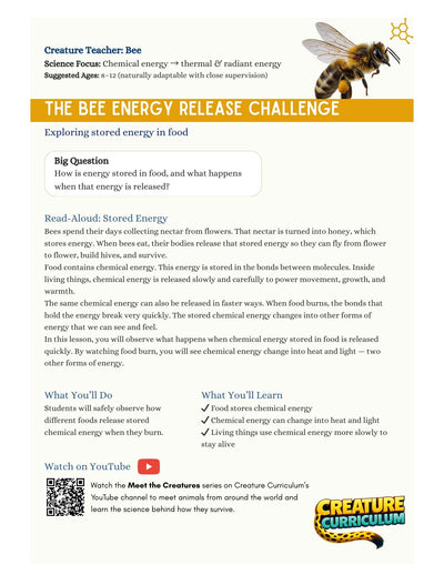 Chemical Energy and Release - Bees