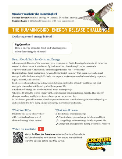 Chemical Energy and Release - Hummingbirds