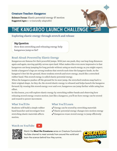 Elastic Potential Energy - Kangaroos