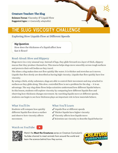 Viscosity and Liquid Flow - Slugs