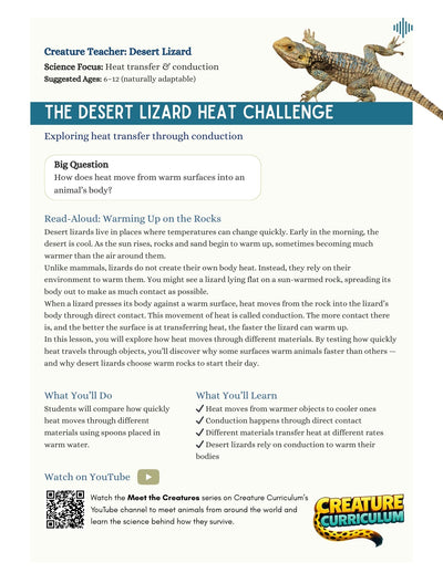 Heat Transfer and Conductivity - Desert Lizards