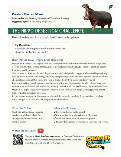 Mechanical Digestion - Hippo