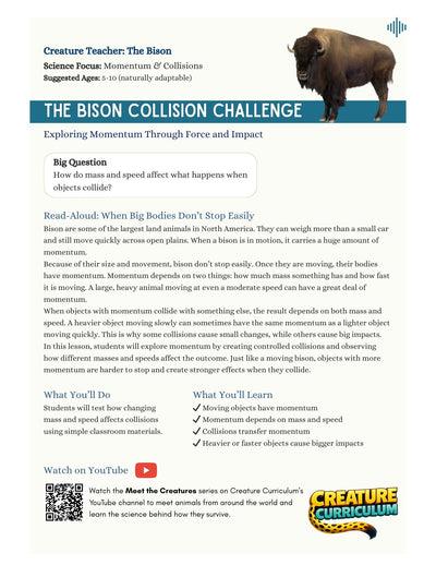 Momentum and Collisions - Bison
