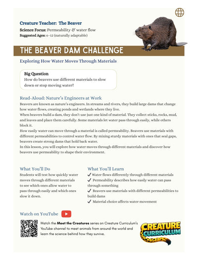 Permeability and Filtration - Beavers