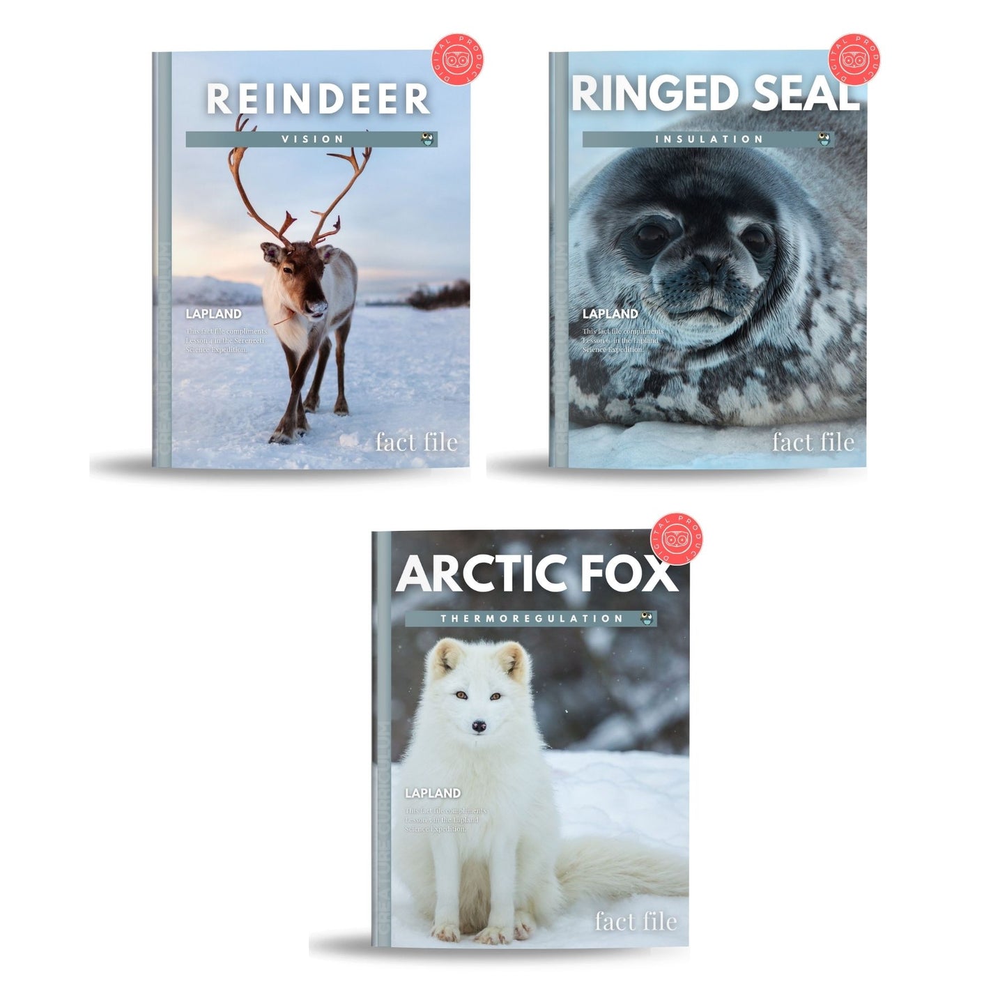 Polar Animals Fact File Bundle