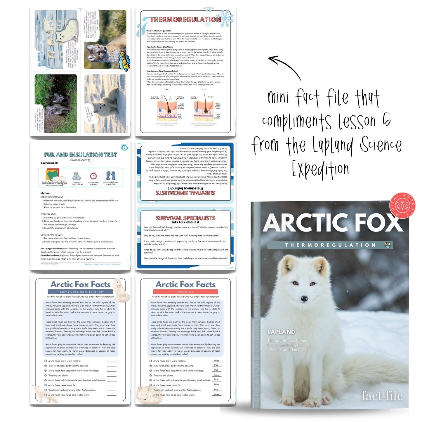 Polar Animals Fact File Bundle
