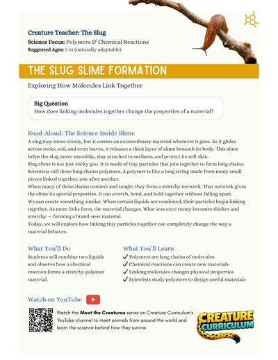 Polymers & Chemical Reactions- Slugs