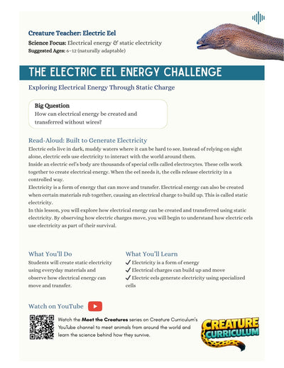 Static Electricity - Electric Eels