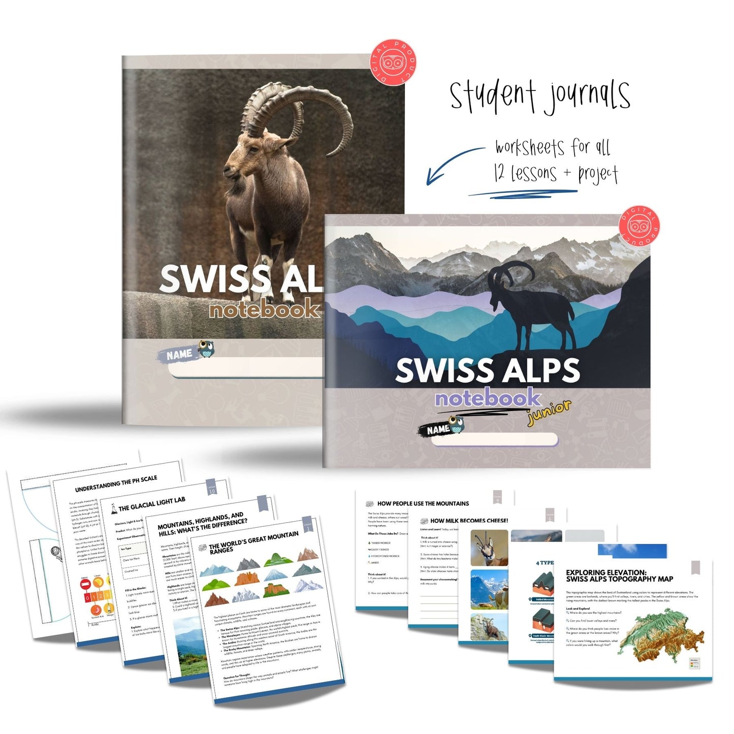 The Swiss Alps Mountain Study