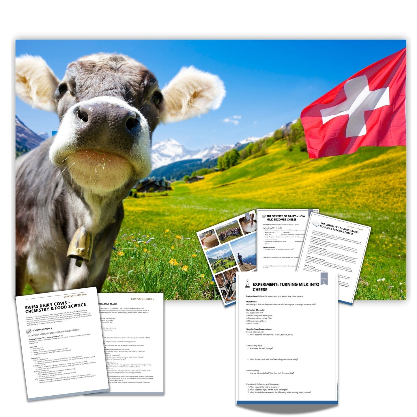 The Swiss Alps Mountain Study