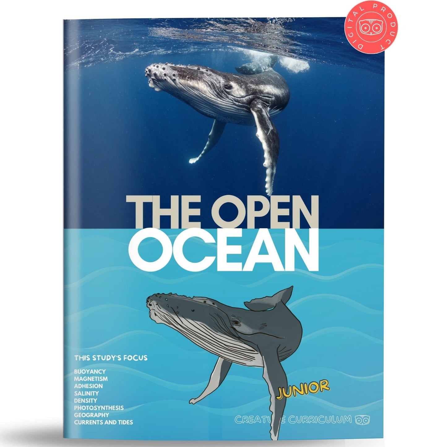 The Open Ocean Study