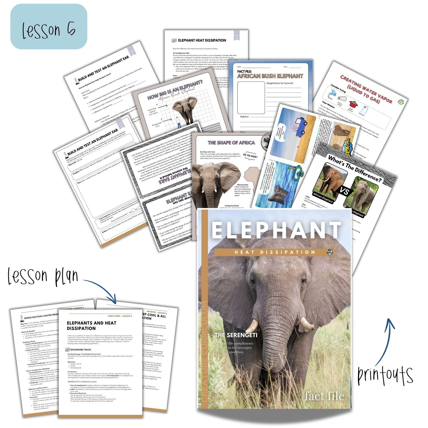 The Serengeti Study