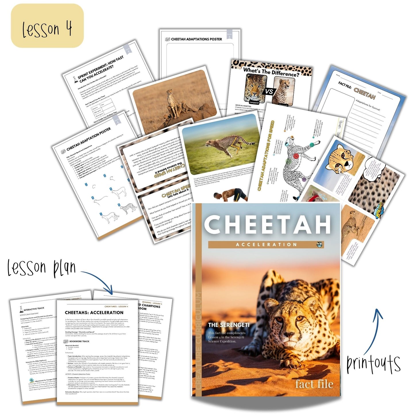 The Serengeti Study