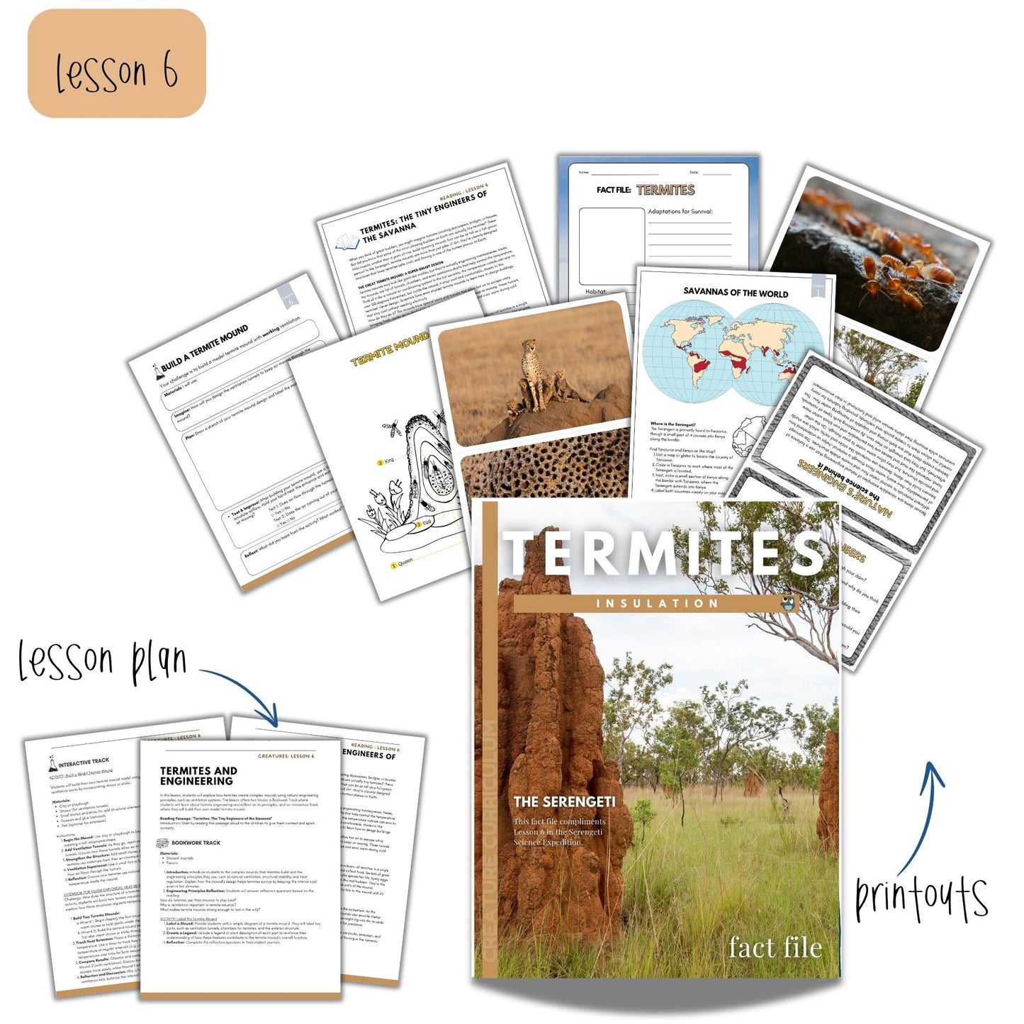 The Serengeti Study
