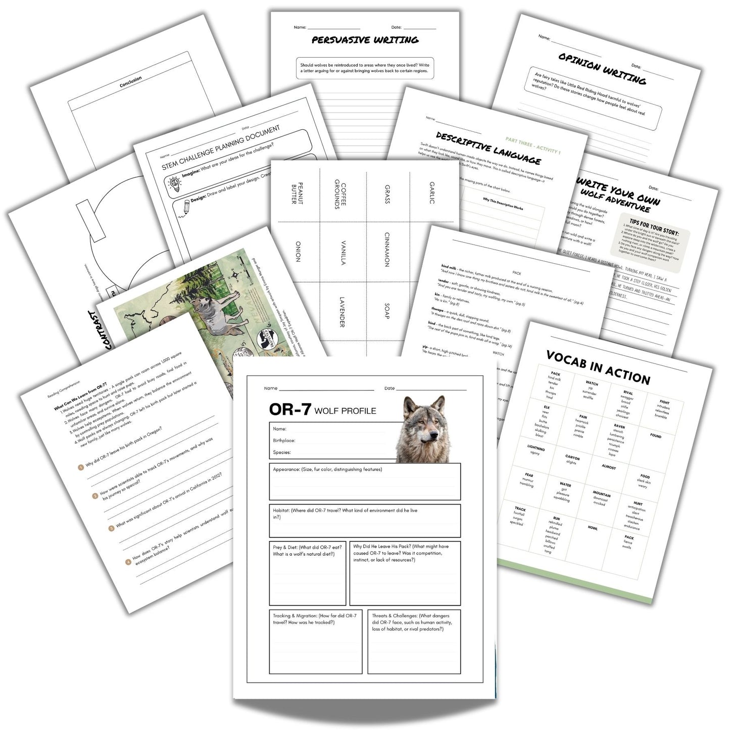 A Wolf Called Wander Novel - Book Study