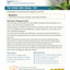 Vibrations, Tension and Damping – Orb-Weaver Spiders