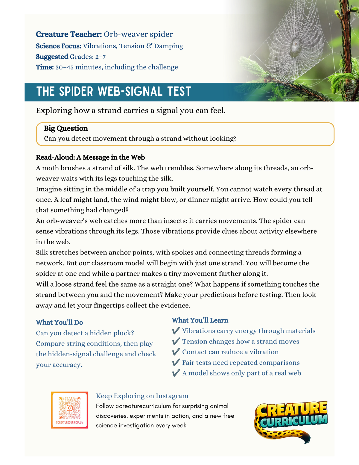 Vibrations, Tension and Damping – Orb-Weaver Spiders