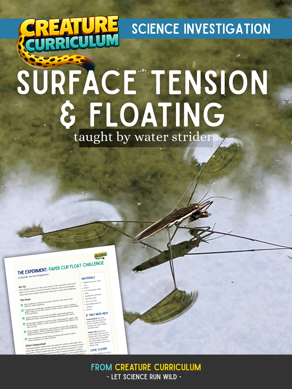 Surface Tension & Floating - Water Striders