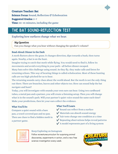 Sound, Reflection and Echolocation – Bat