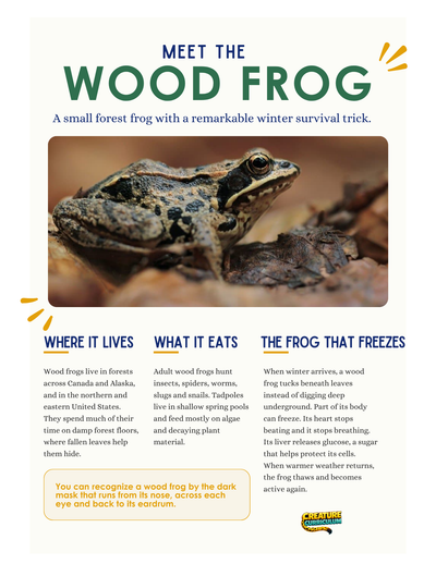 Solutions, Freezing & Cryoprotection - Wood Frog