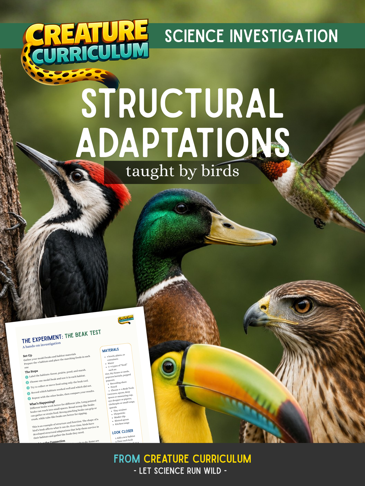 Structural Adaptations & Beak Function - Birds