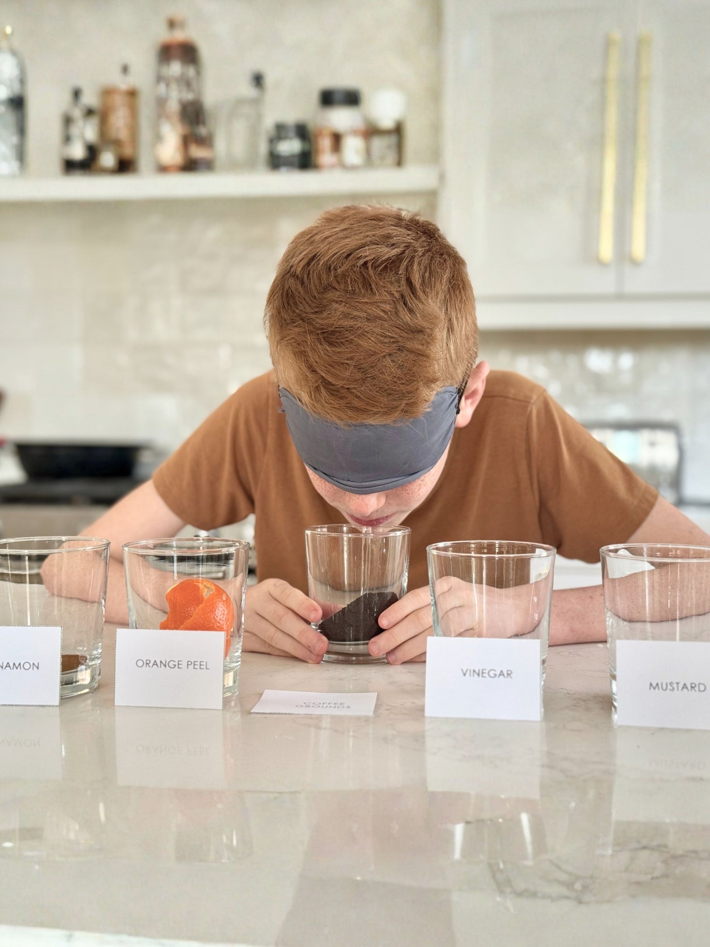 A Wolf Called Wander Novel - Book Study