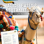 Acids, Bases and Neutralization Reactions - Camels