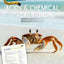 Acids and Chemical Reactions - Crabs