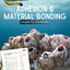 Adhesion and Material Bonding - Barnacles