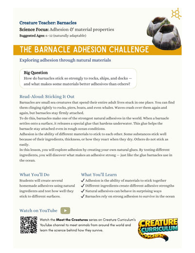 Adhesion and Material Bonding - Barnacles