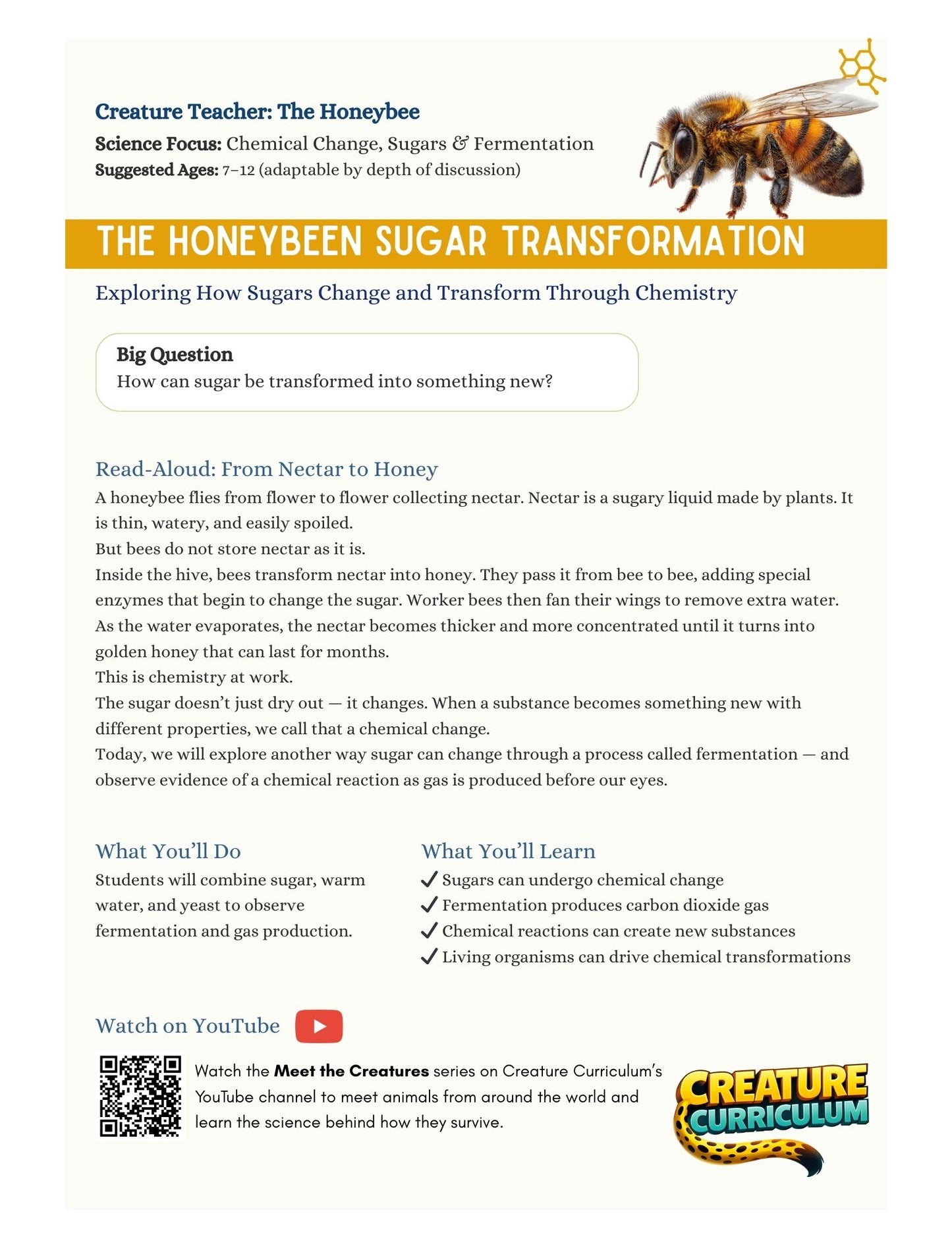 Chemical Change, Sugars & Fermentation - Honeybees