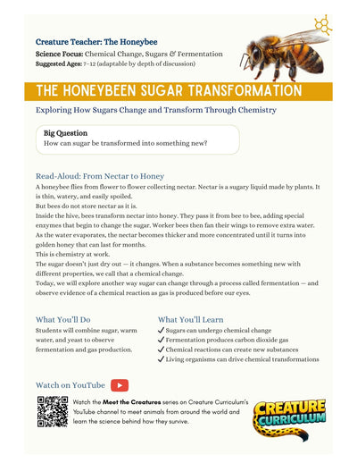 Chemical Change, Sugars & Fermentation - Honeybees