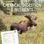 Chemical Digestion and Nutrients - Moose
