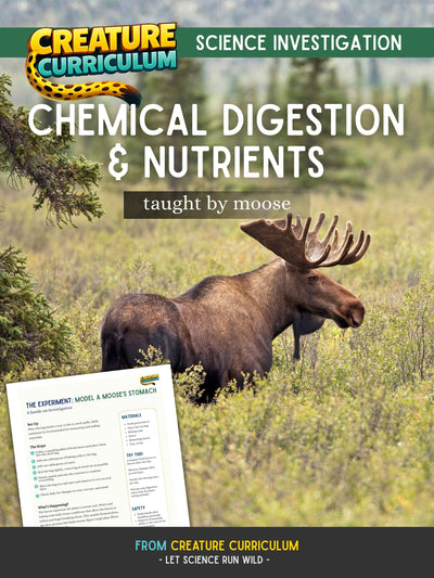 Chemical Digestion and Nutrients - Moose