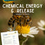 Chemical Energy and Release - Bees