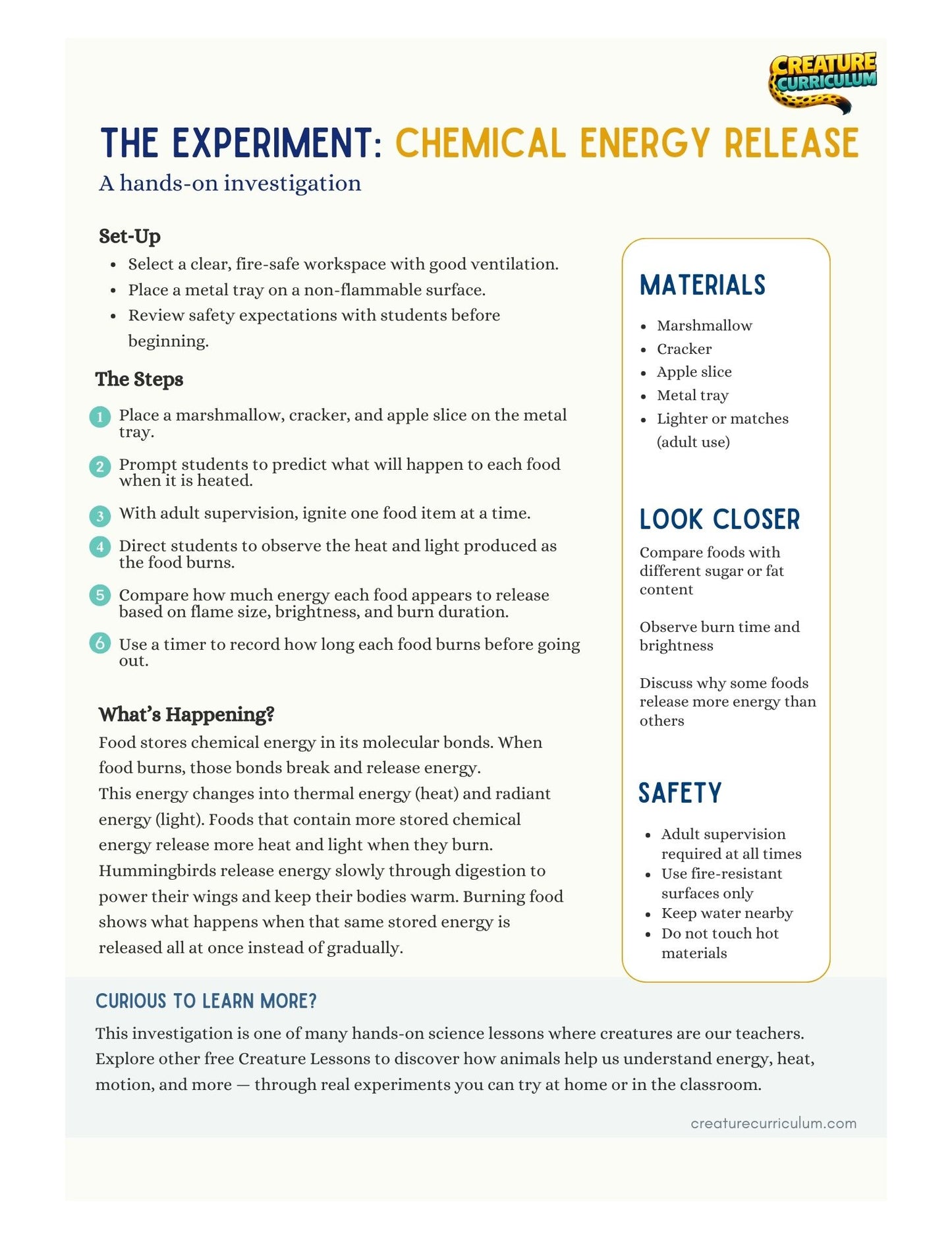 Chemical Energy and Release - Hummingbirds