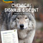 Chemical Signals and Scent - Wolves