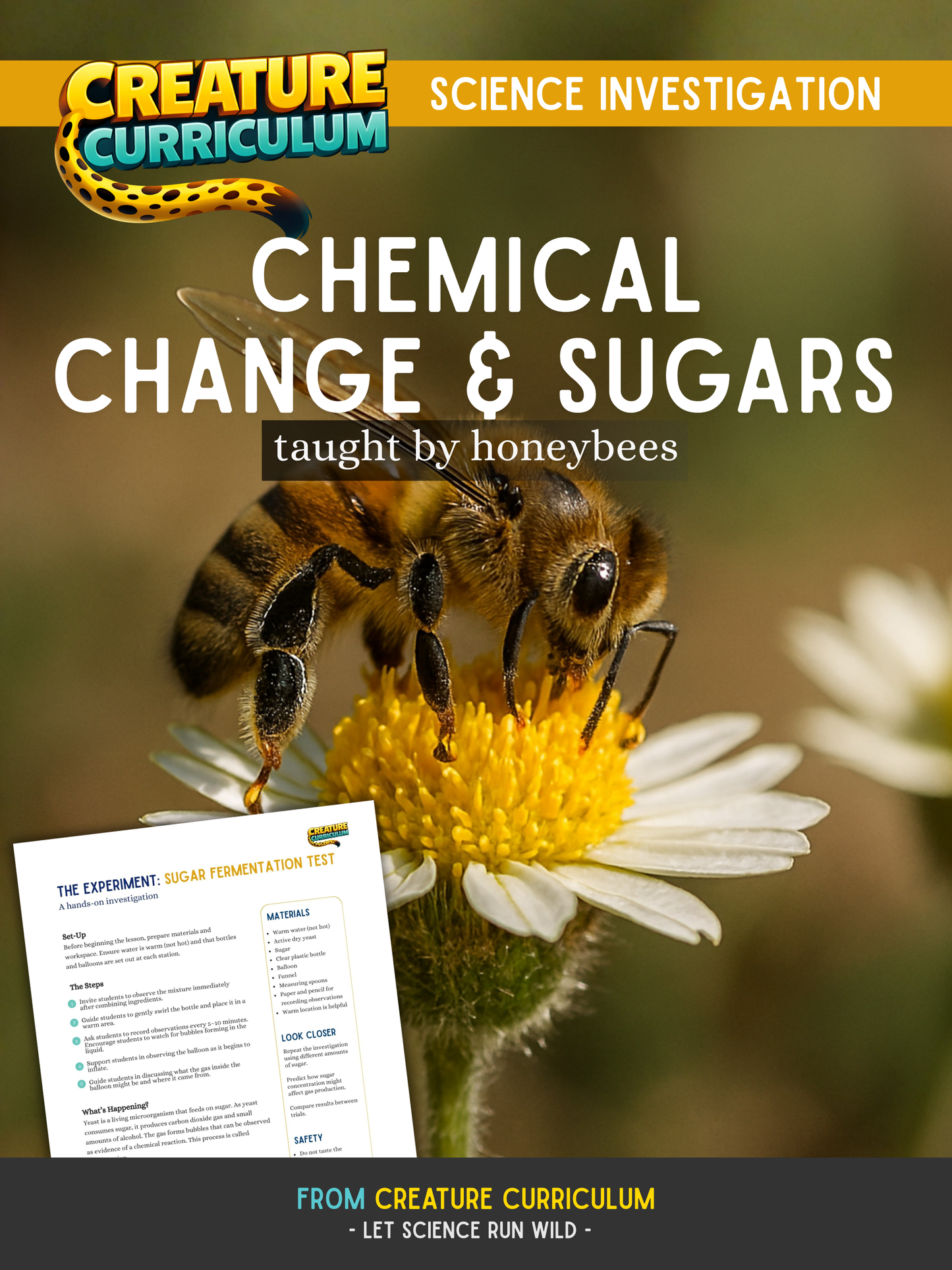 Chemical Change, Sugars & Fermentation - Honeybees