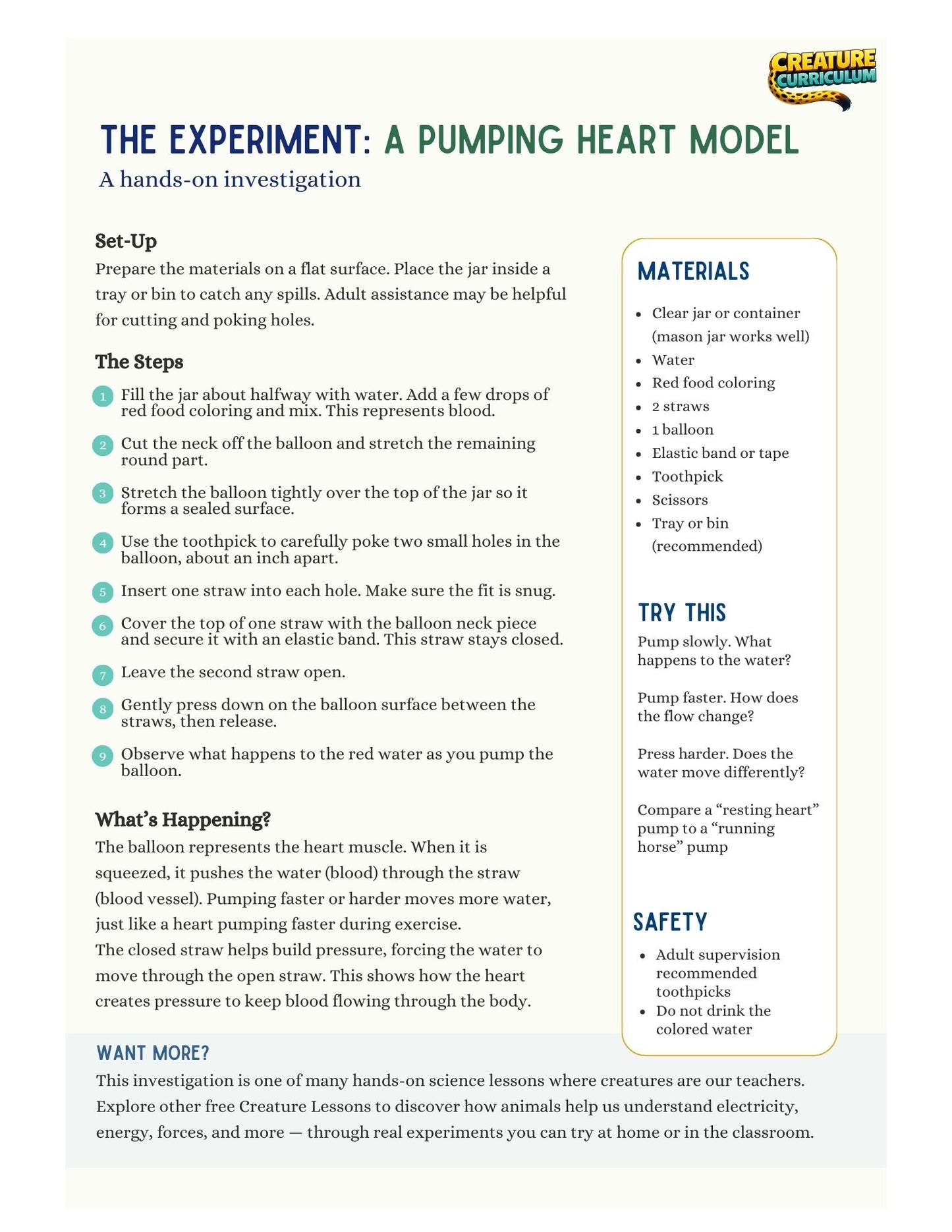 Circulation and Blood Flow - Horses