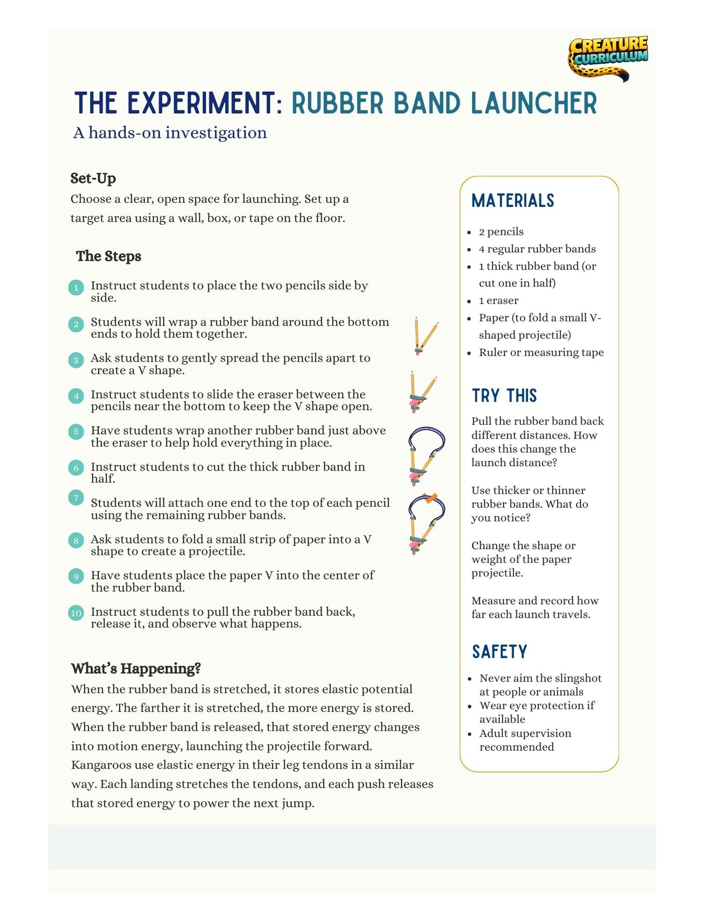 Elastic Potential Energy - Kangaroos