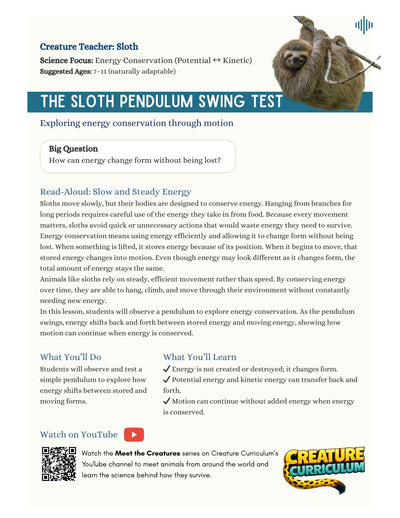 Energy Conservation - Sloths