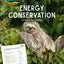 Energy Conservation - Sloths